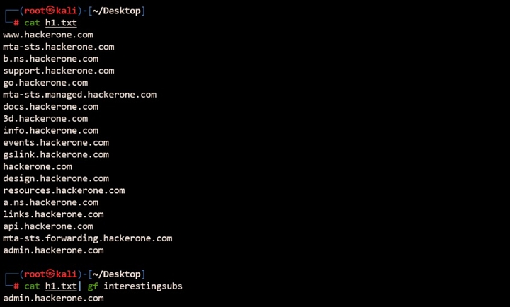 gf interestingsubs pattern list to find interesting subdomains