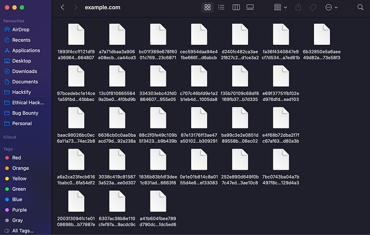File List Created for the host xyz.com with request and response